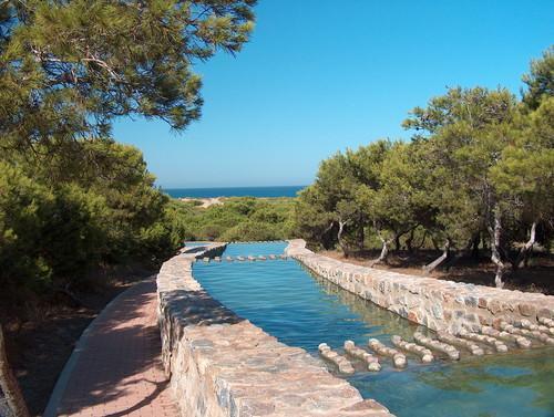 Apartment Tatyana La Mata  Dış mekan fotoğraf