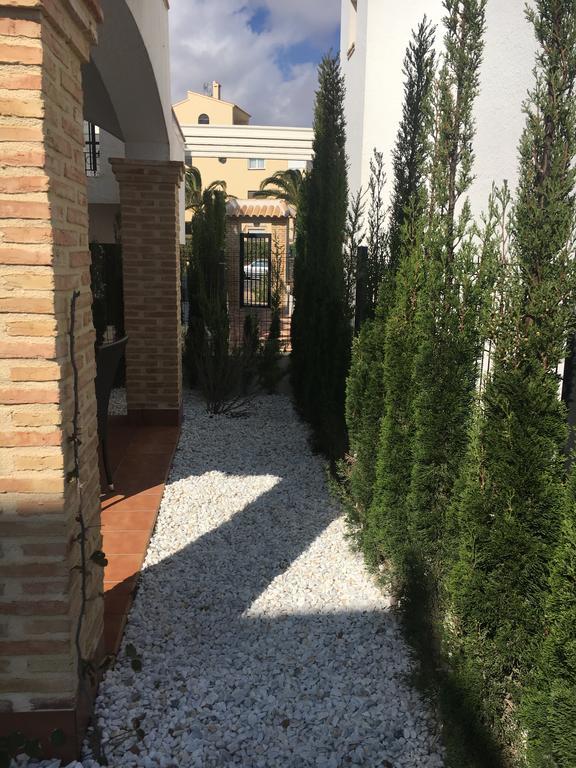Apartment Tatyana La Mata  Dış mekan fotoğraf
